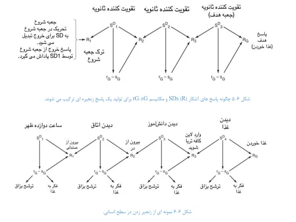 شکل اول