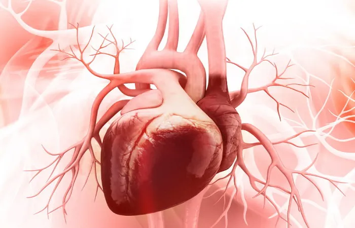 دانلود فیزیولوژی قلب